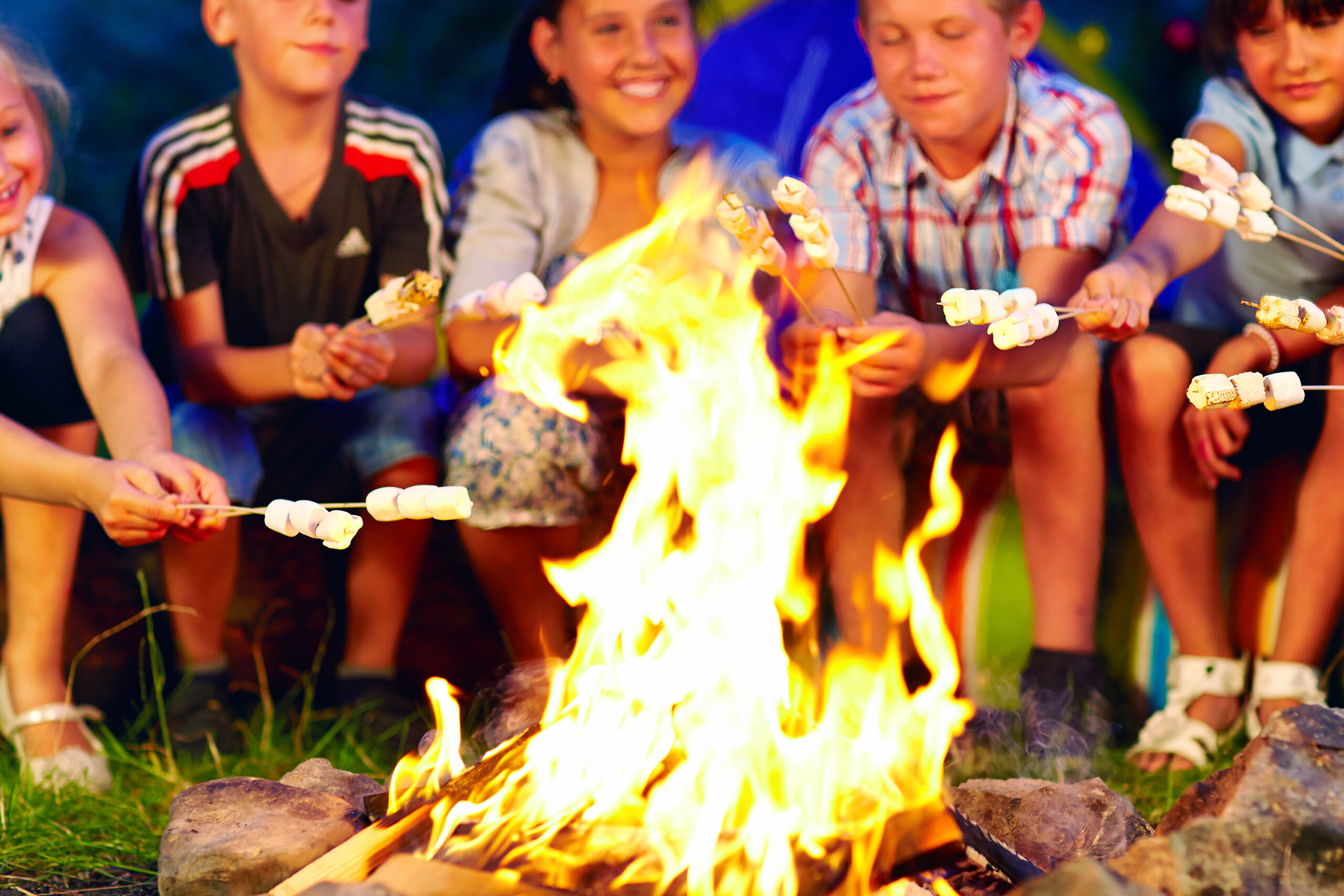Happy,Kids,Roasting,Marshmallows,On,Campfire